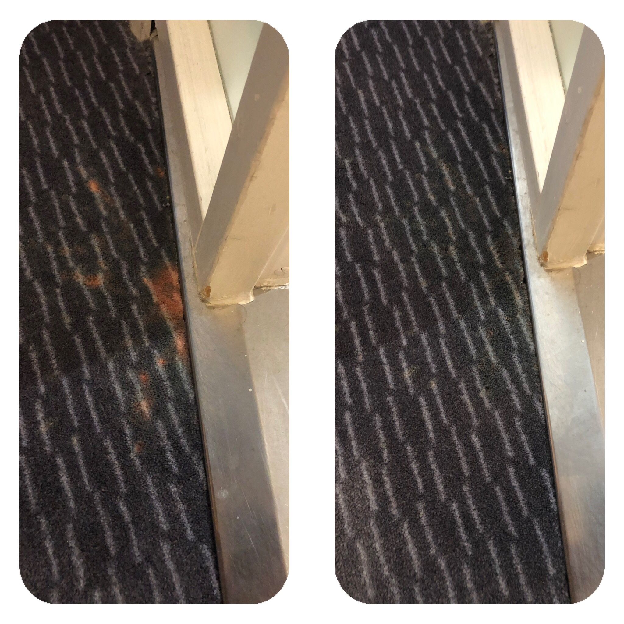Commercial hotel carpet bleach spot repair before and after